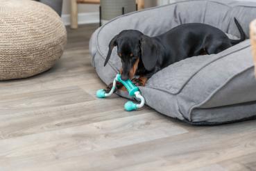 Trixie Denta Fun Stick mit Seil Hundespielzeug